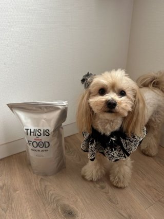 レビュー1296-投稿画像2