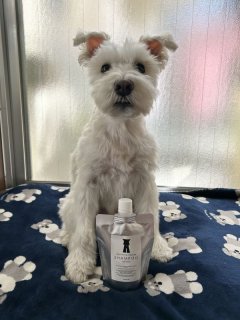 レビュー1299-投稿画像2