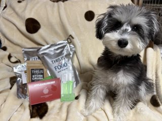 レビュー1314-投稿画像1