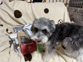 レビュー1314-投稿画像2