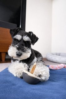 レビュー1346-投稿画像1