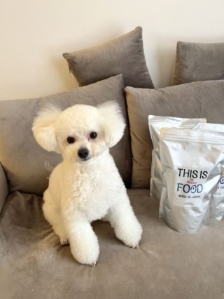 レビュー1342-投稿画像1