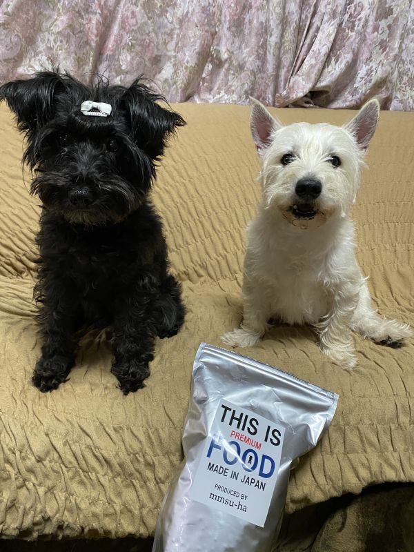 pu様♥️ウエストハイランドホワイトテリア シュナウザー ウェルカムボード pu様♥️ウエストハイランドホワイトテリア シュナウザー