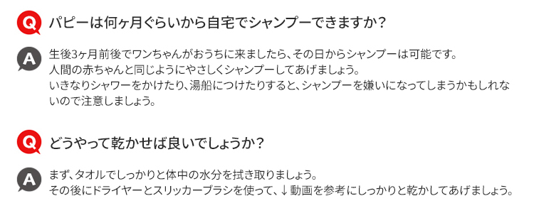 子犬のシャンプー