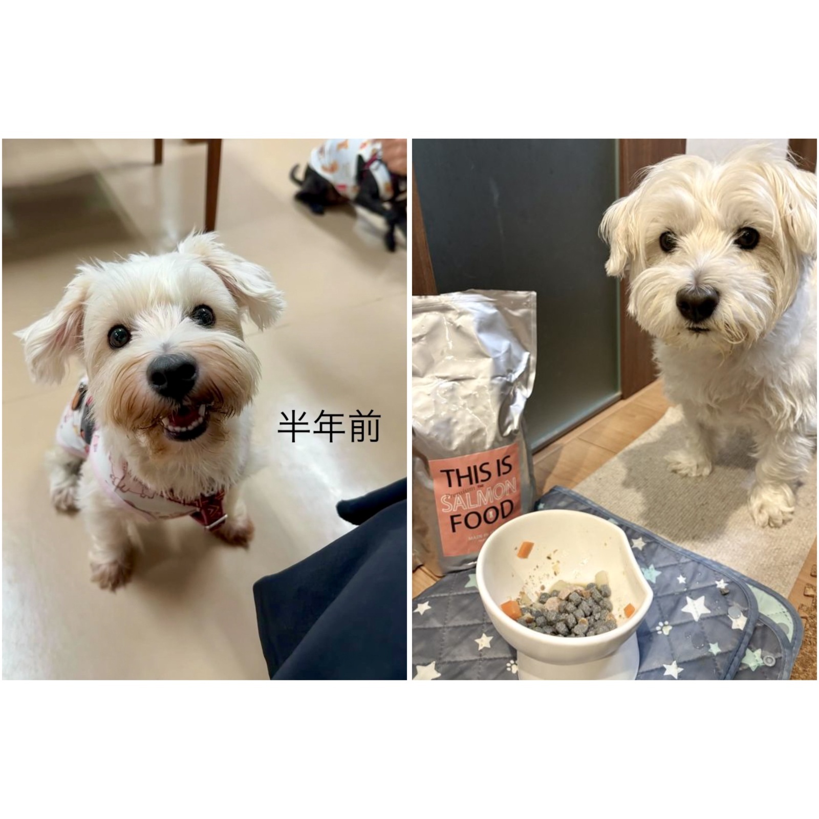 【改善しました！】