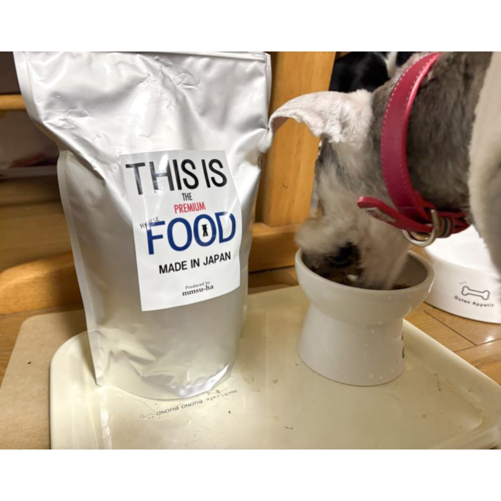 【安定のフードです】