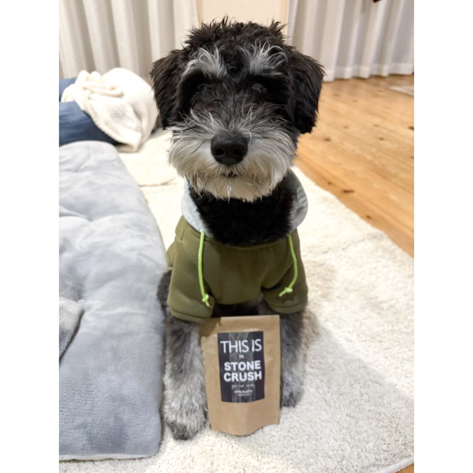 【初購入⭐︎】