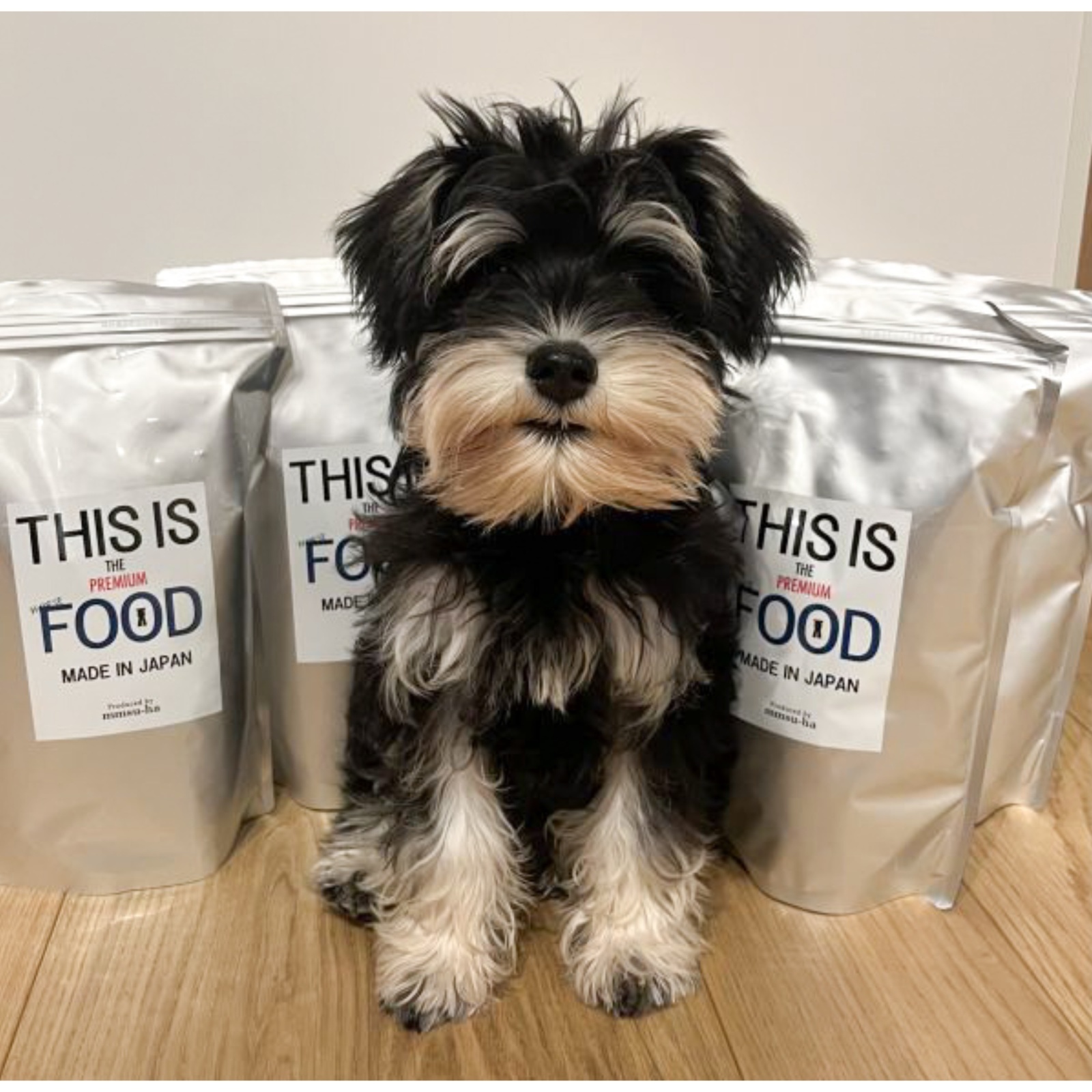 【大好きなご飯⭐︎】