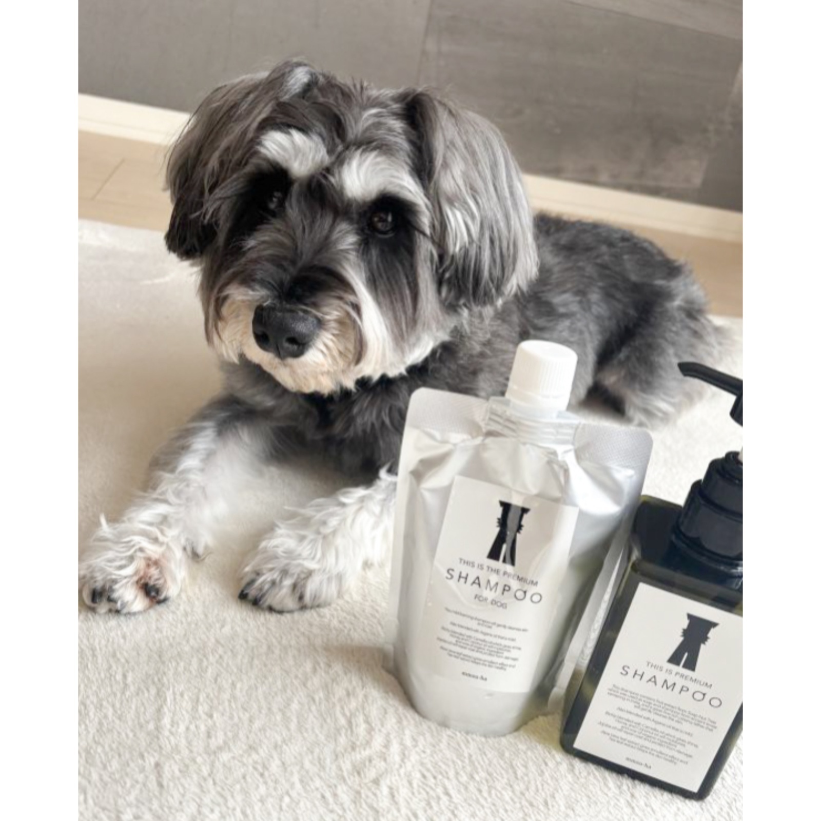 【ふわふわになります】