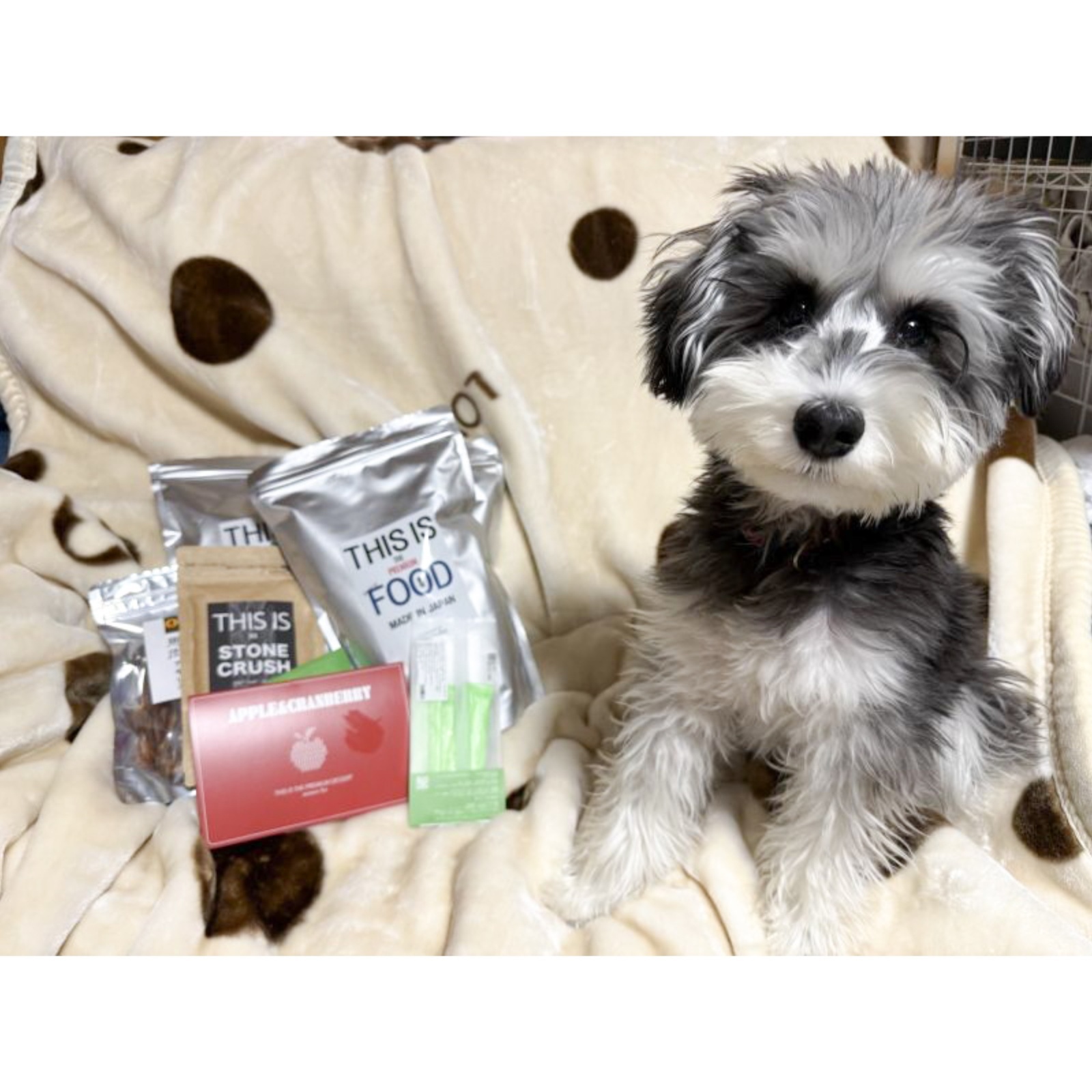 【急性膵炎後このフードへ】