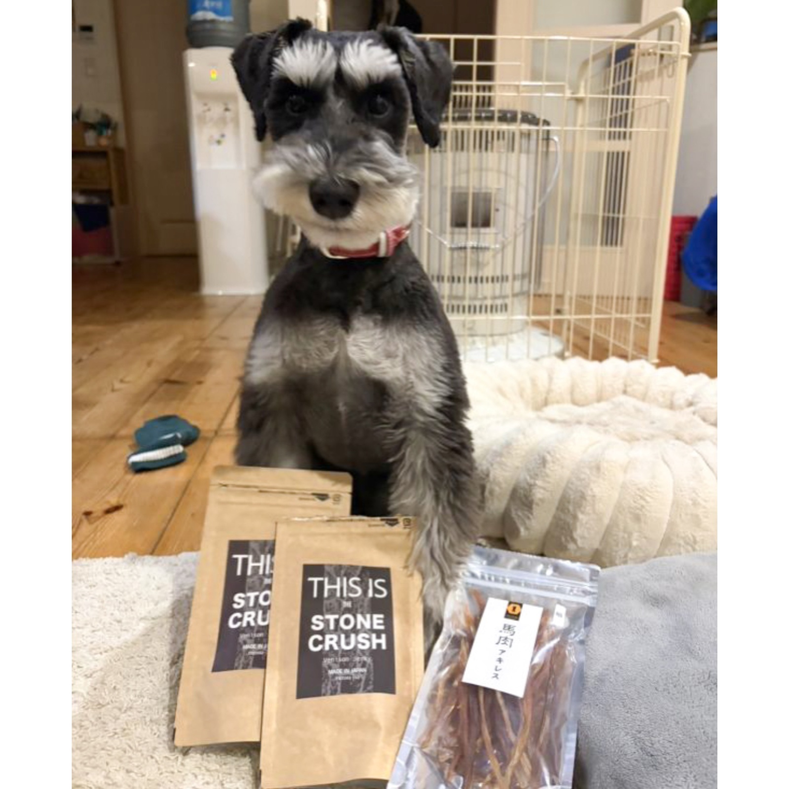 【すごく噛みます】