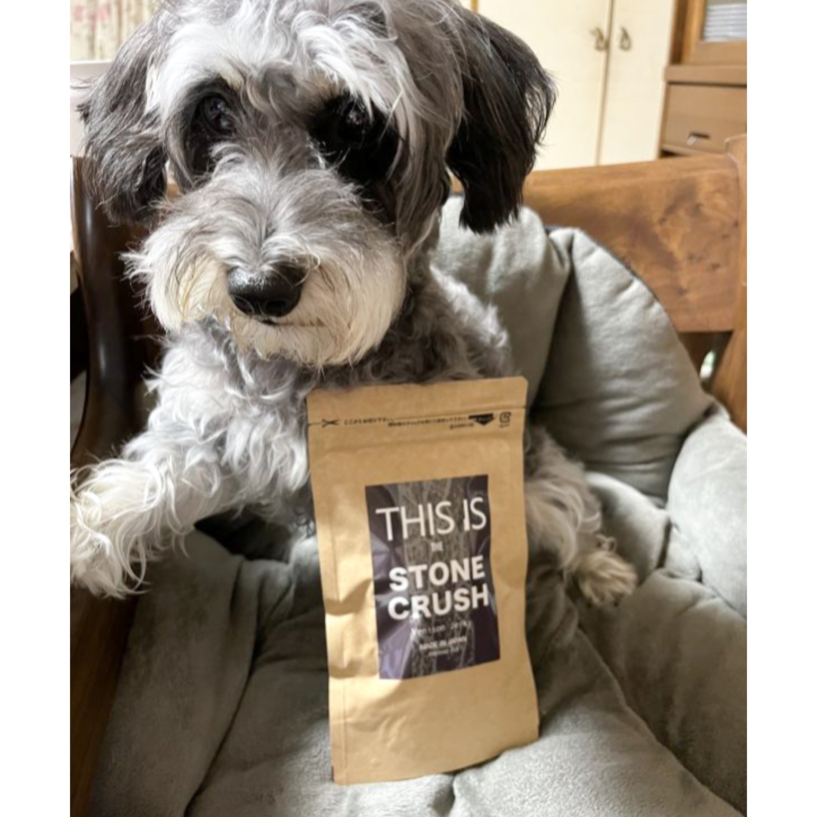 【噛み応えあり】