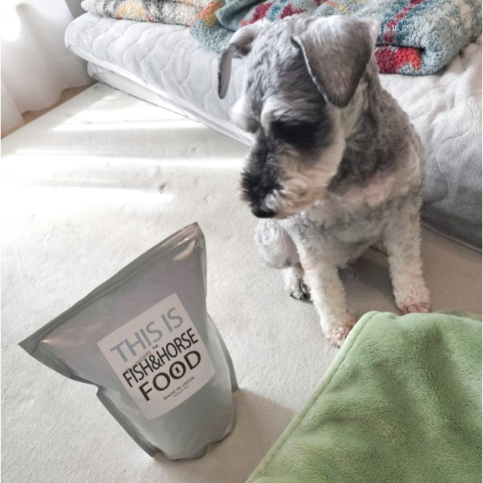 【うちのコ達に！】