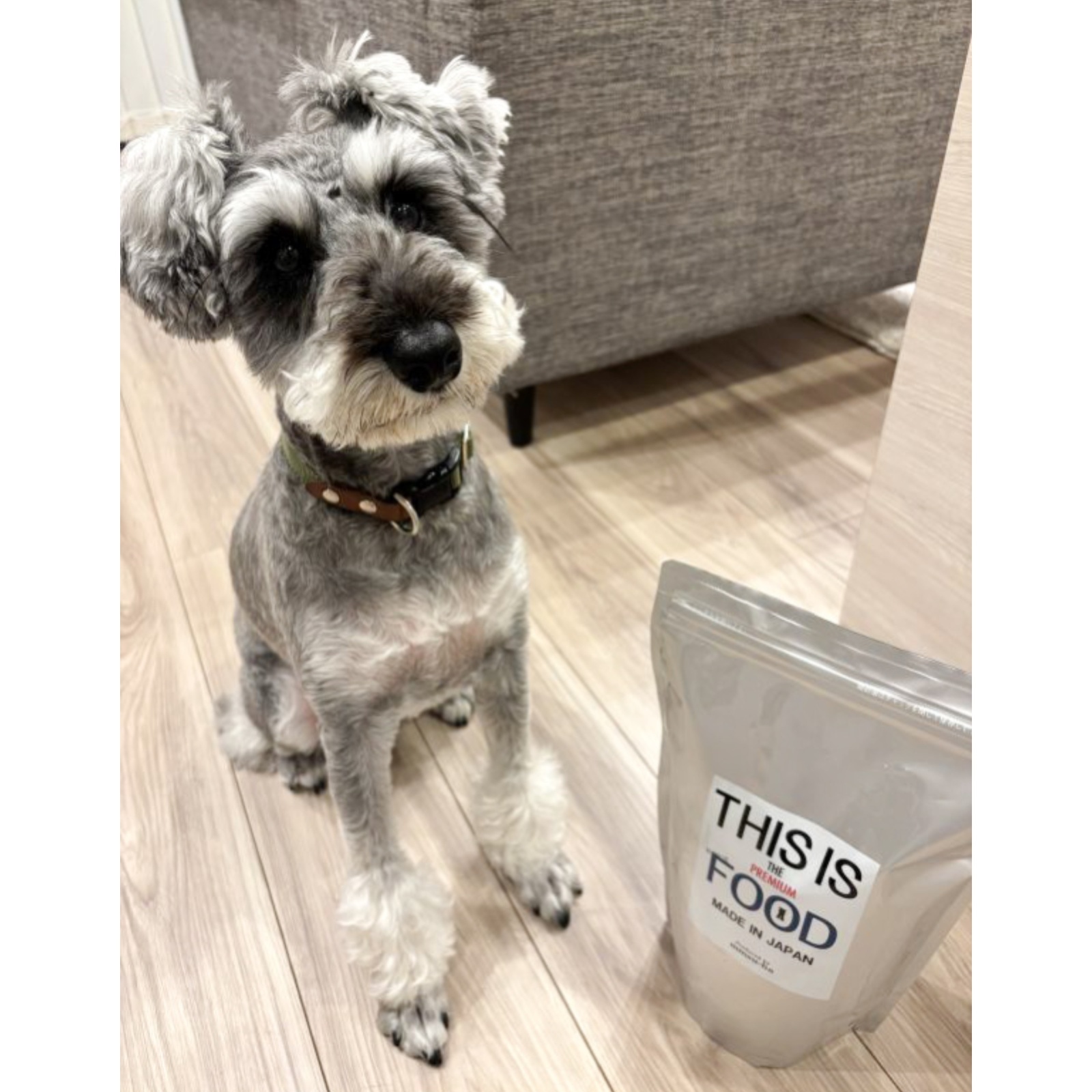 【変わらず食いつきがいい⭐︎】