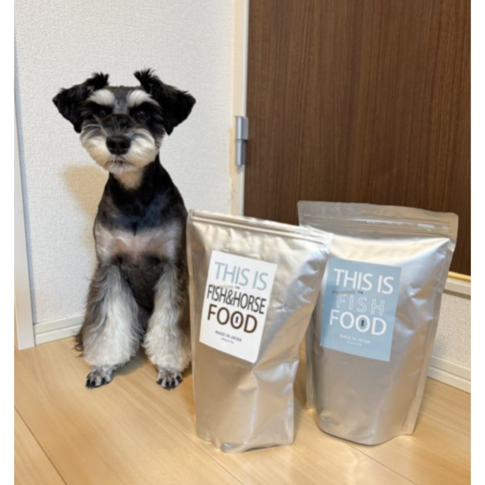 【タラフード！】