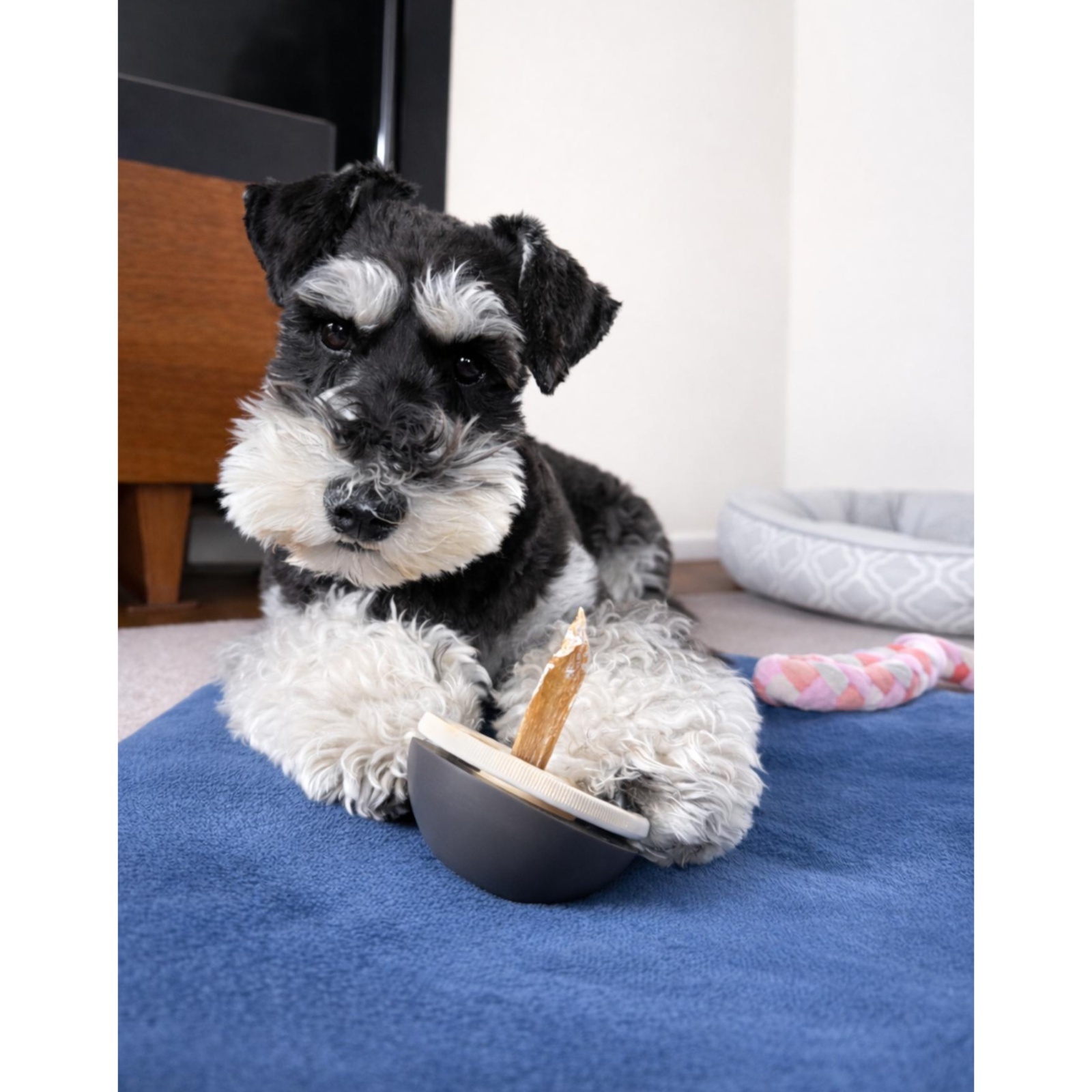 【すごい便利＆食いつきがいい！】