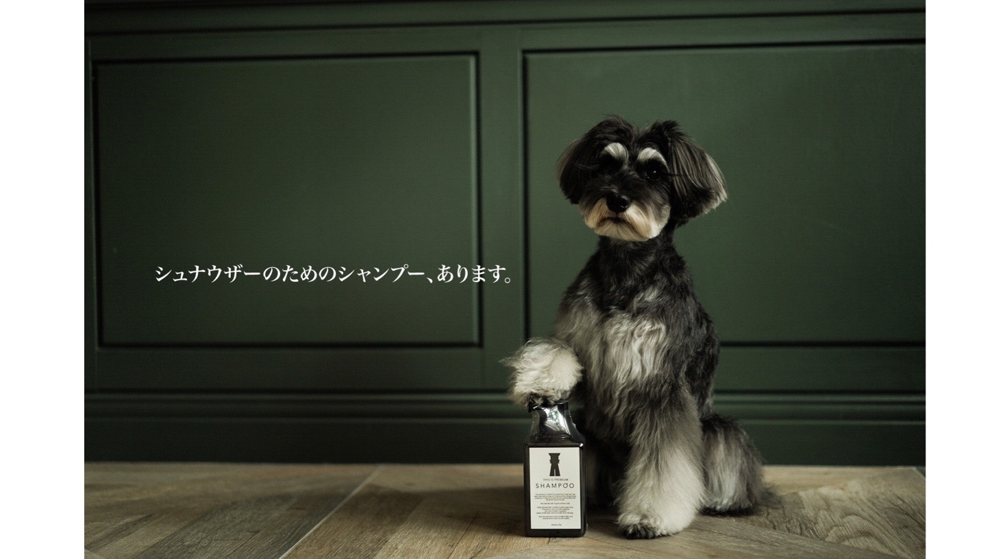 シュナウザー・テリア専門ドッグフードショップ【mmsu-ha DOG FOOD SHOP】