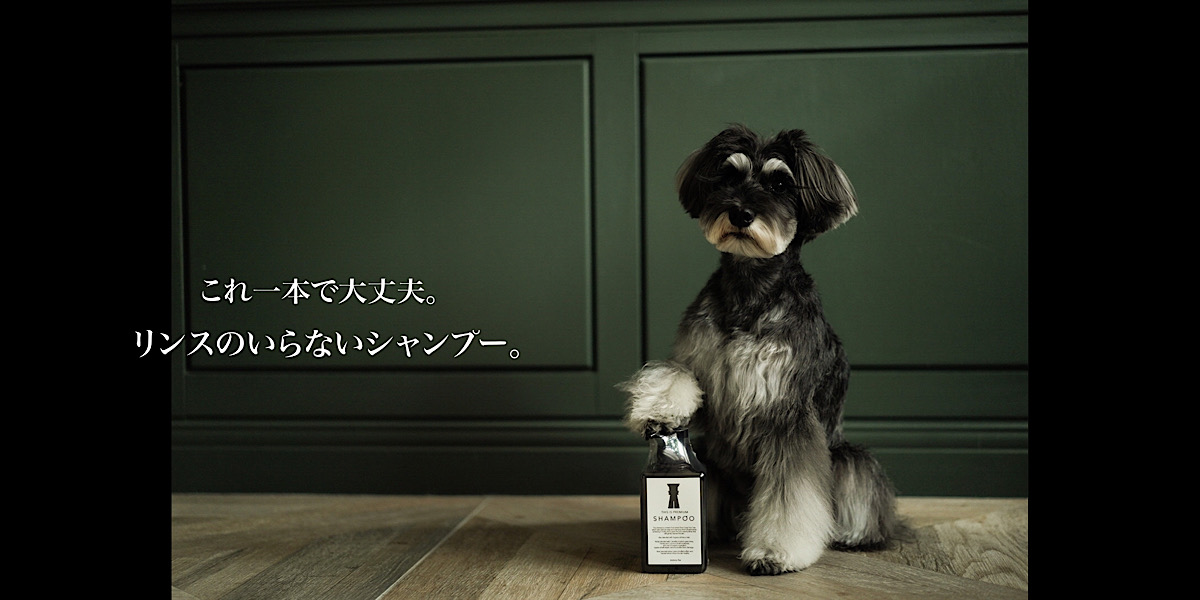 シュナウザー・テリア専門ドッグフードショップ【mmsu-ha DOG FOOD SHOP】