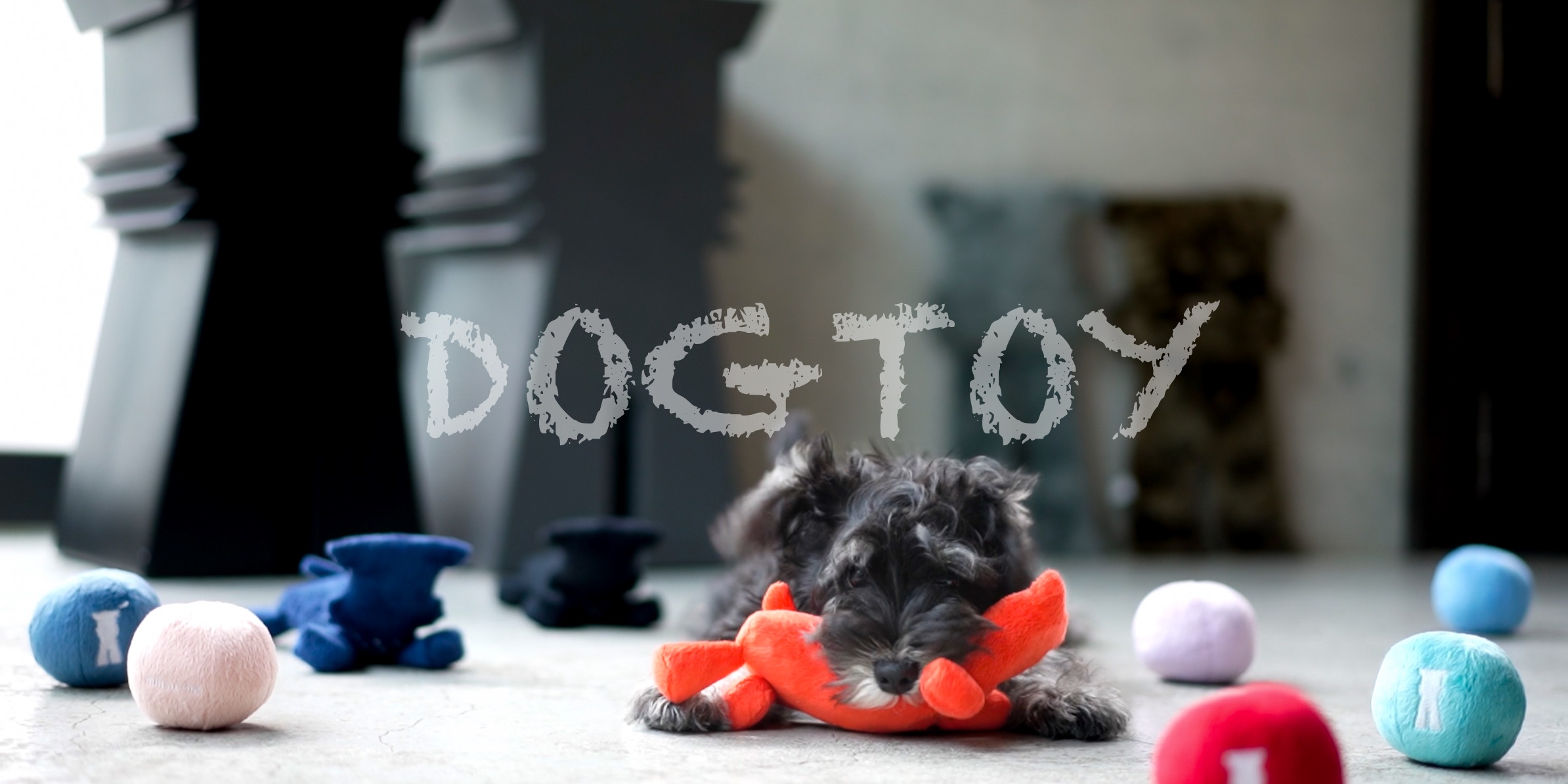 シュナウザー・テリア専門ドッグフードショップ【mmsu-ha DOG