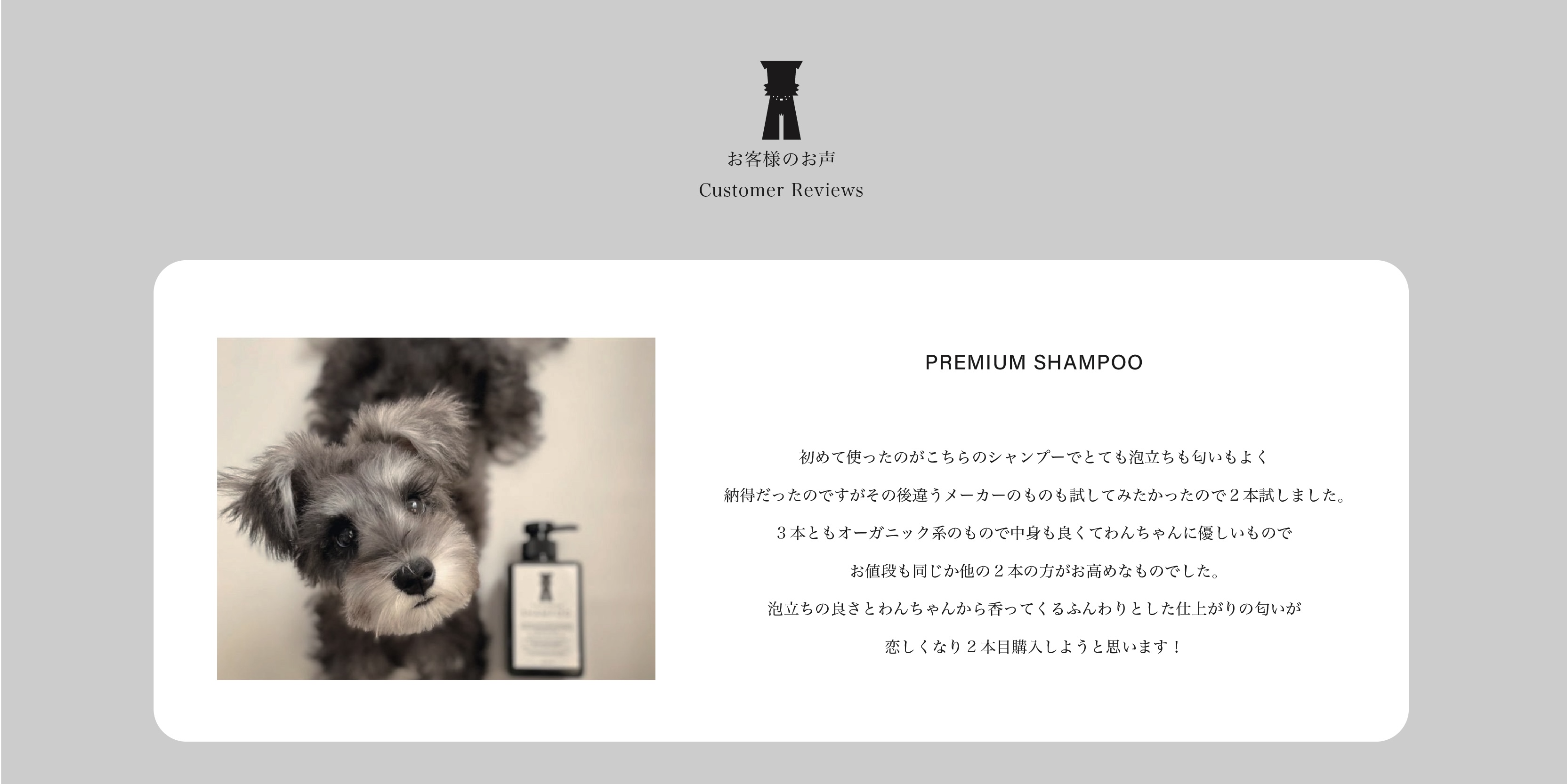 mmsu-haプレミアムシャンプーの口コミ・レビュー一覧 mmsu-haプレミアムシャンプーの口コミ・レビュー一覧