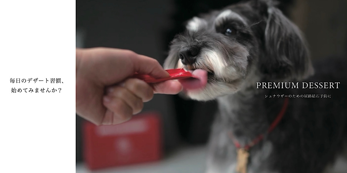 シュナウザー他犬種たちにもオススメの結石予防対策サプリ シュナウザー他犬種たちにもオススメの結石予防対策サプリ