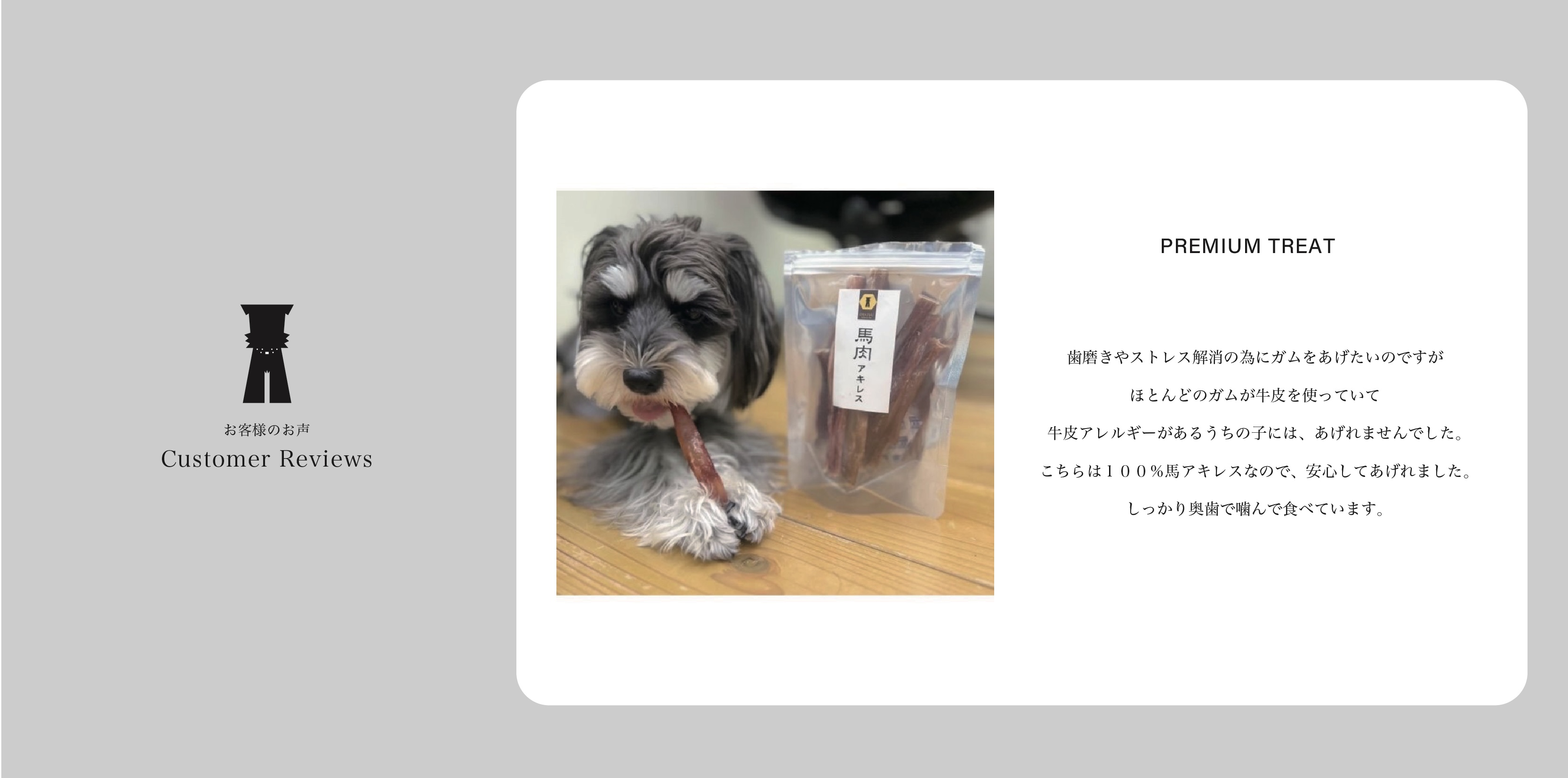 シュナウザー・テリア専門ドッグフードショップ【mmsu-ha DOG