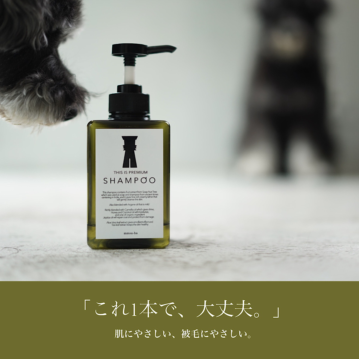 シュナウザー・テリアにオススメのmmsu-haプレミアムシャンプー