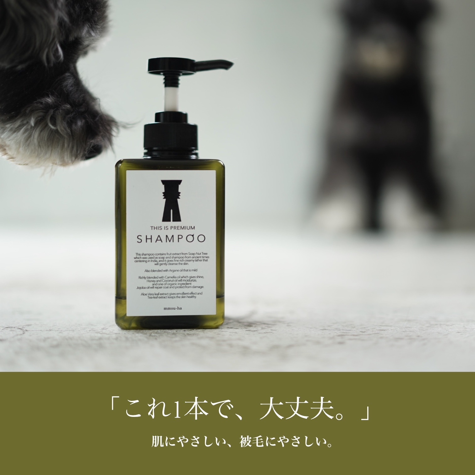 シュナウザー・テリアにオススメのmmsu-haプレミアムシャンプー