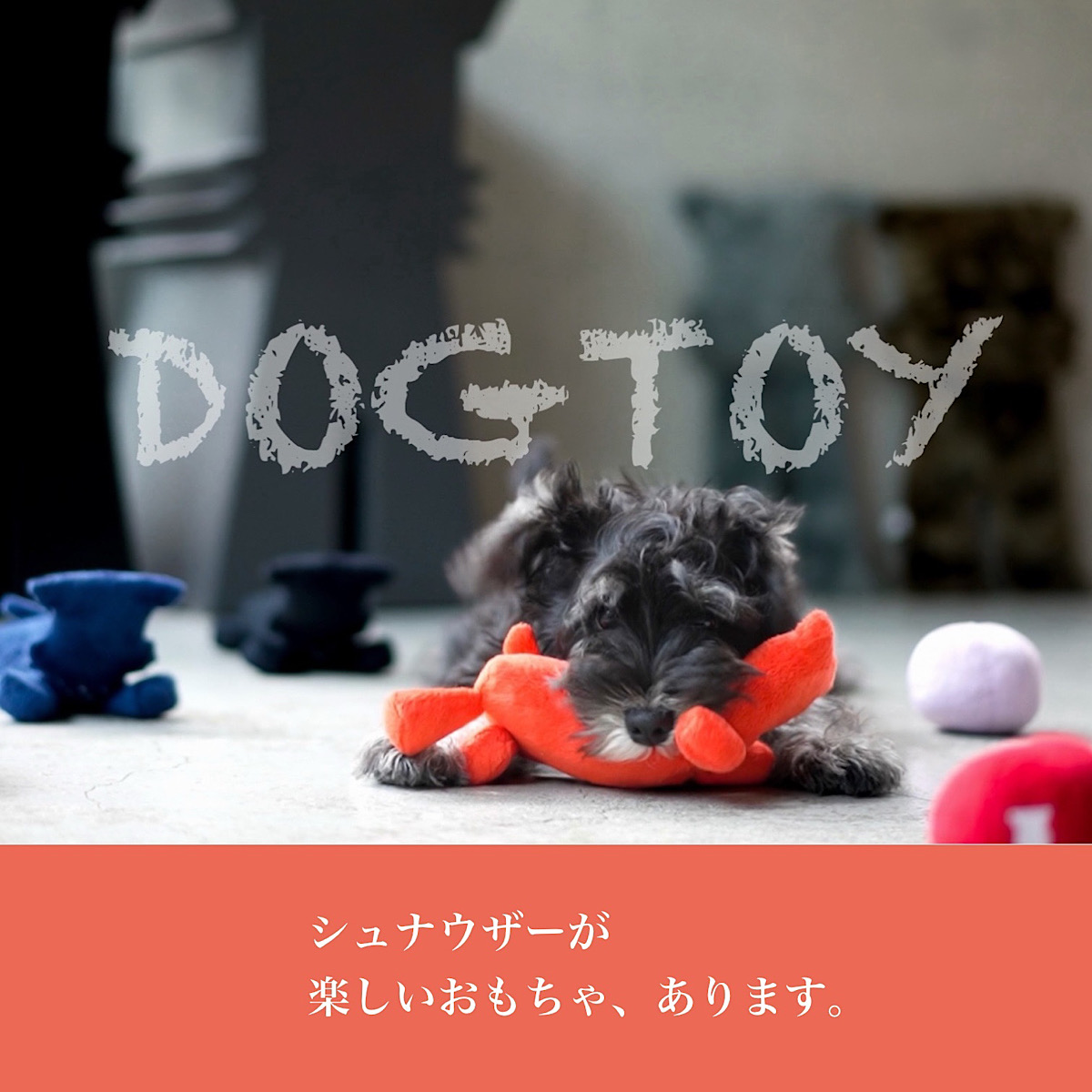 シュナウザーにオススメのおもちゃ・グッズページ