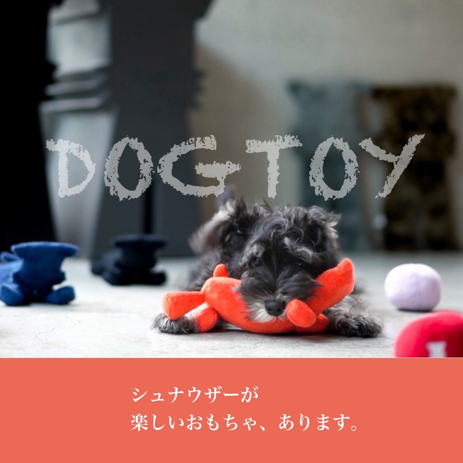 シュナウザーにオススメのおもちゃ・グッズページ