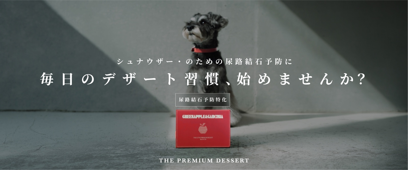 シュナウザー他犬種たちにもオススメの結石予防対策サプリ