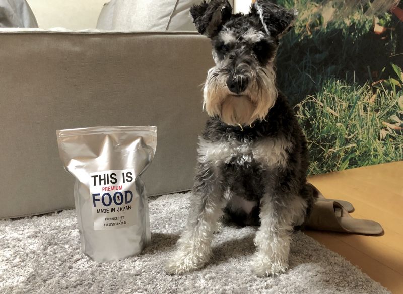 シュナウザー フードご飯