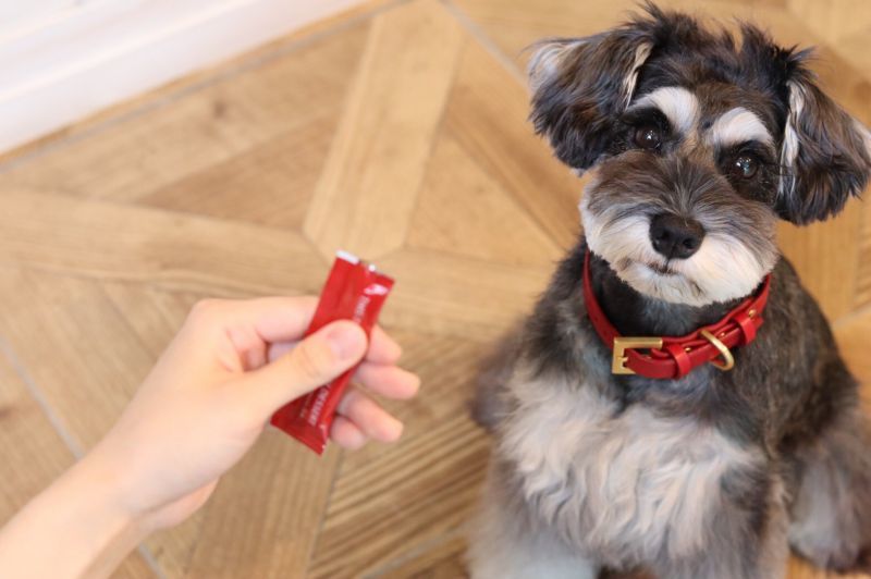 シュナウザーの為のストルバイト結晶・結石予防対策サプリメント/飲むデザート/おやつとして