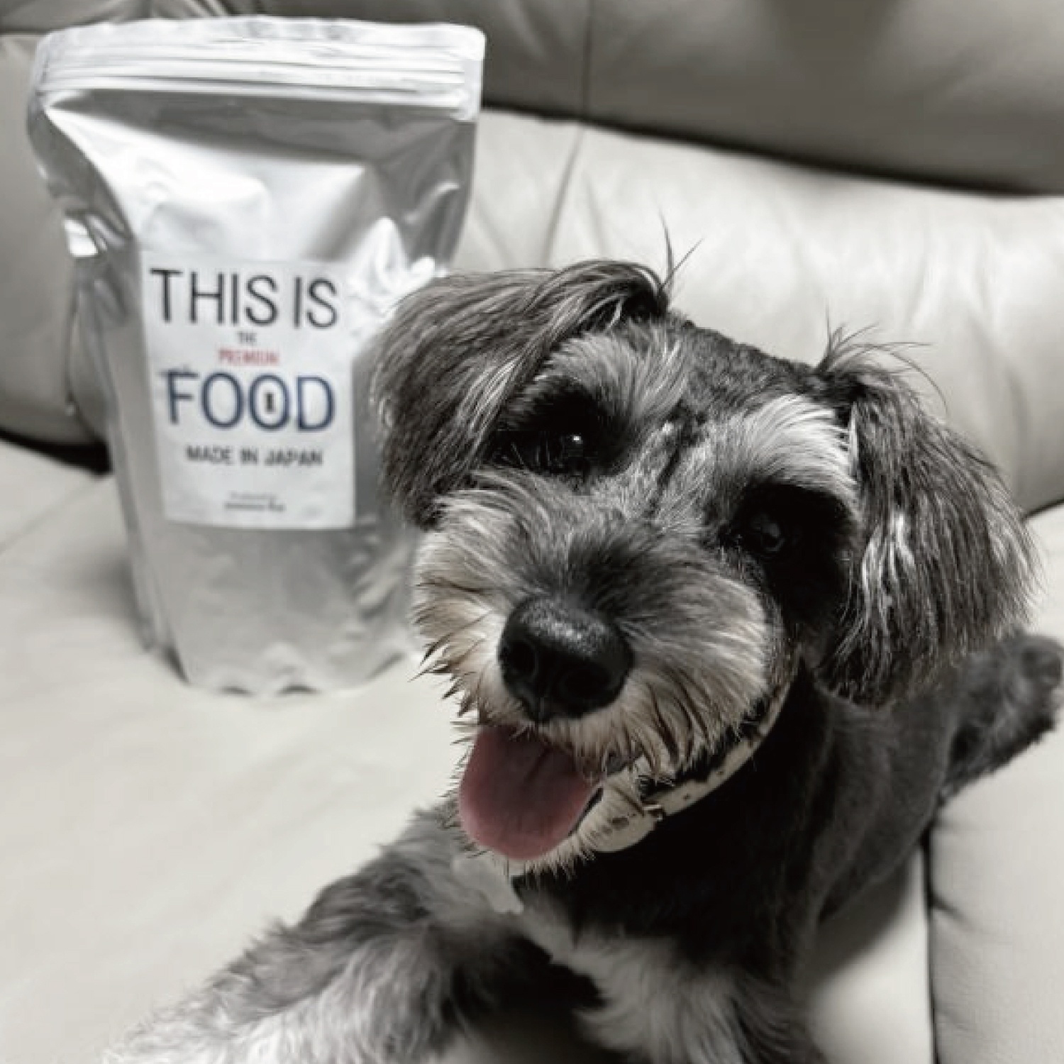 mmsu-ha THIS IS THE PREMIUM FOOD 3袋セット馬肉 mmsu-ha THIS IS THE PREMIUM FOOD 3袋セット馬肉 シュナウザー