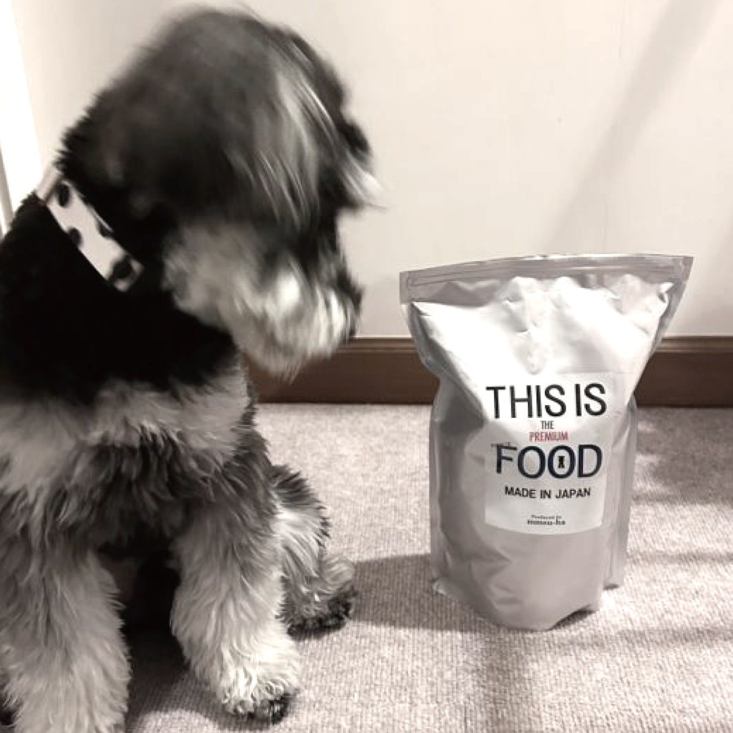 シュナウザー・テリア専用ドッグフード1kg袋×6袋まとめ買いセット