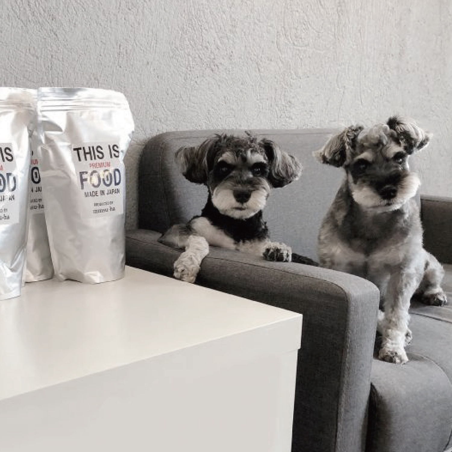 シュナウザー・テリア専用ドッグフード1kg袋×6袋まとめ買いセット