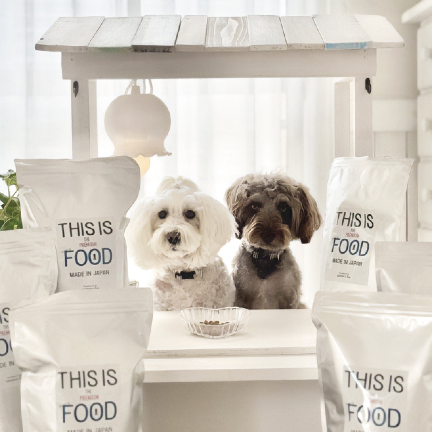 シュナウザー・テリア専用ドッグフード1kg袋×5袋まとめ買いセット