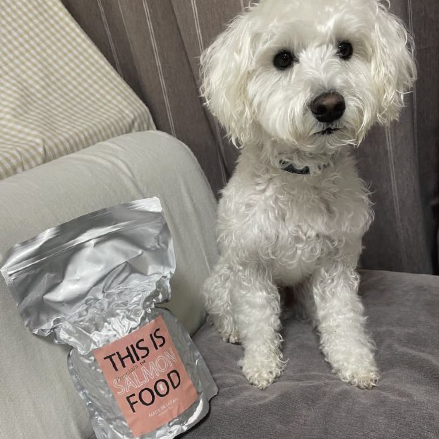 ドッグフード mm K9 ビーフ・トリーツ｜ドッグフード｜K9ナチュラル公式通販サイト