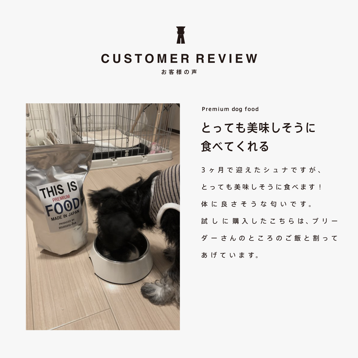 シュナウザー・テリア専用ドッグフード1kg袋×6袋まとめ買いセット